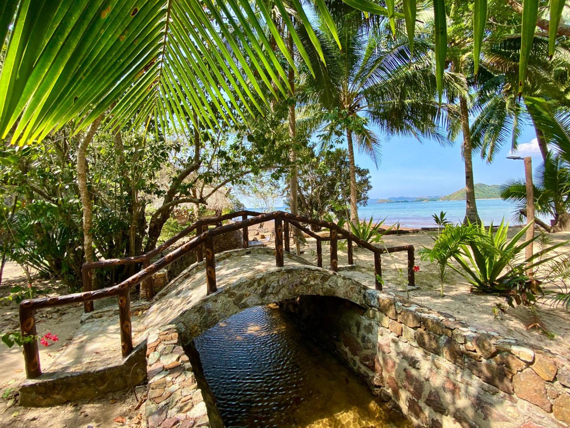 Ocamocam Beach Nature Resort New Busuanga Eksteriør billede
