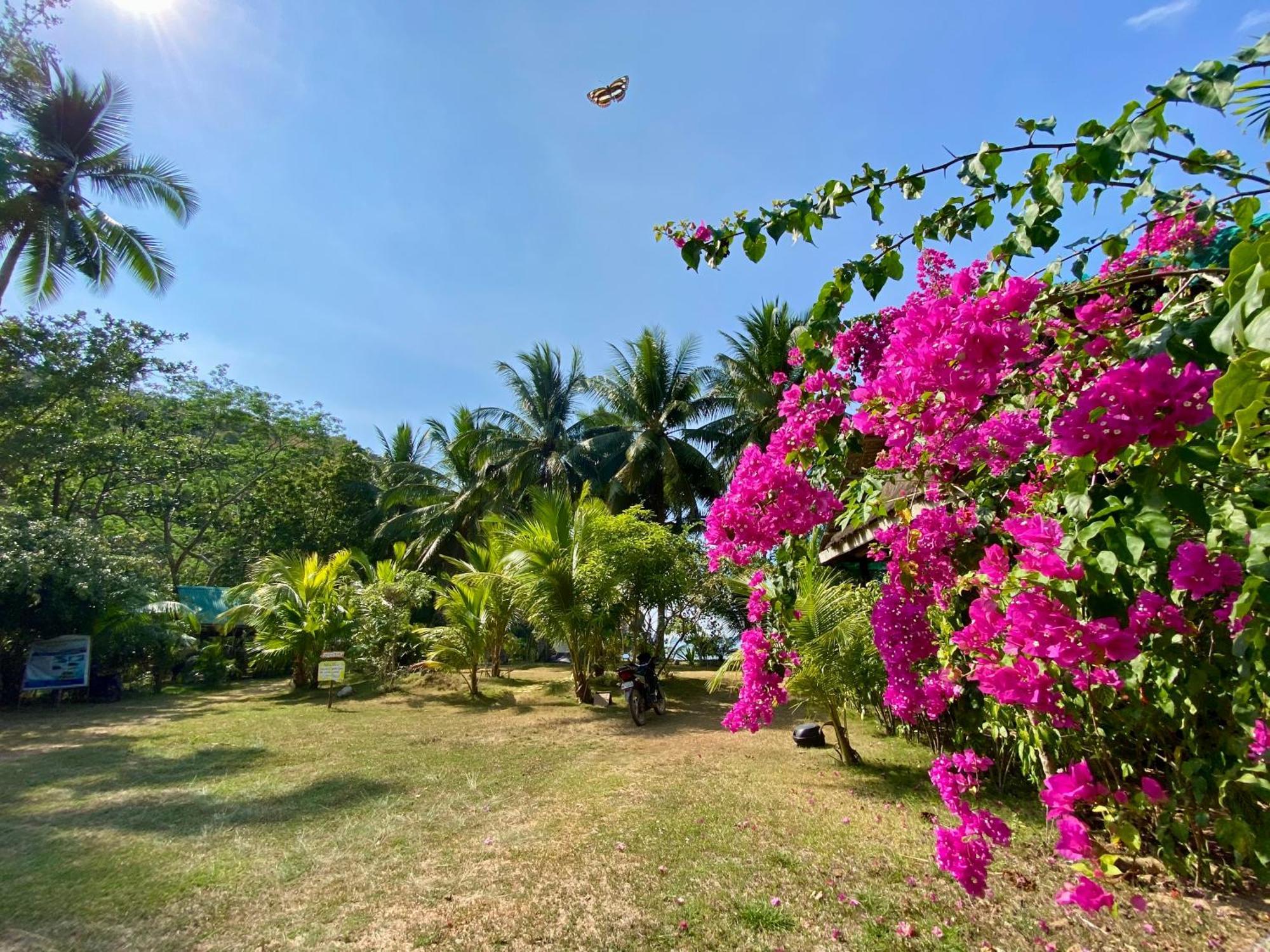 Ocamocam Beach Nature Resort New Busuanga Eksteriør billede