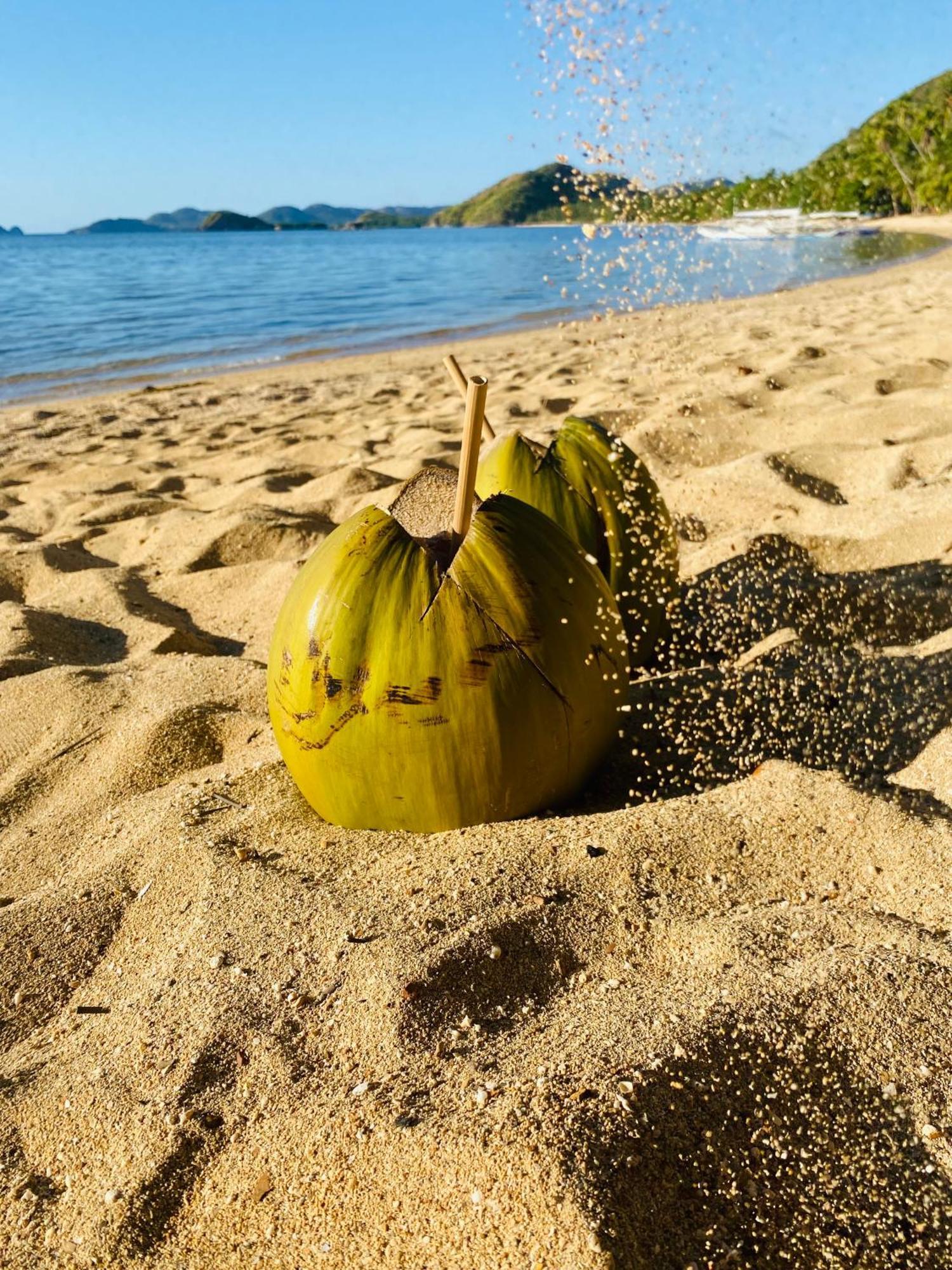 Ocamocam Beach Nature Resort New Busuanga Eksteriør billede