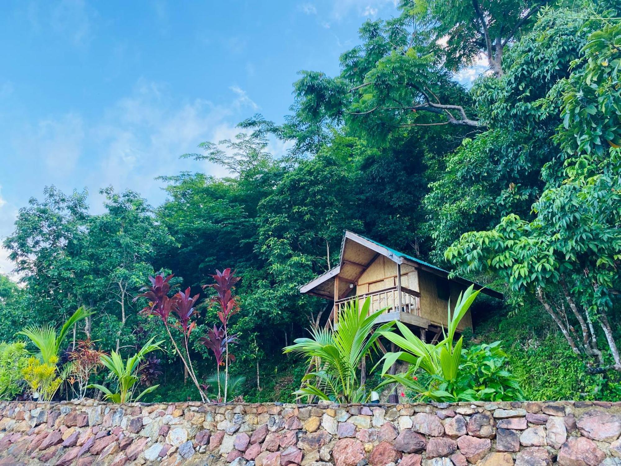Ocamocam Beach Nature Resort New Busuanga Eksteriør billede