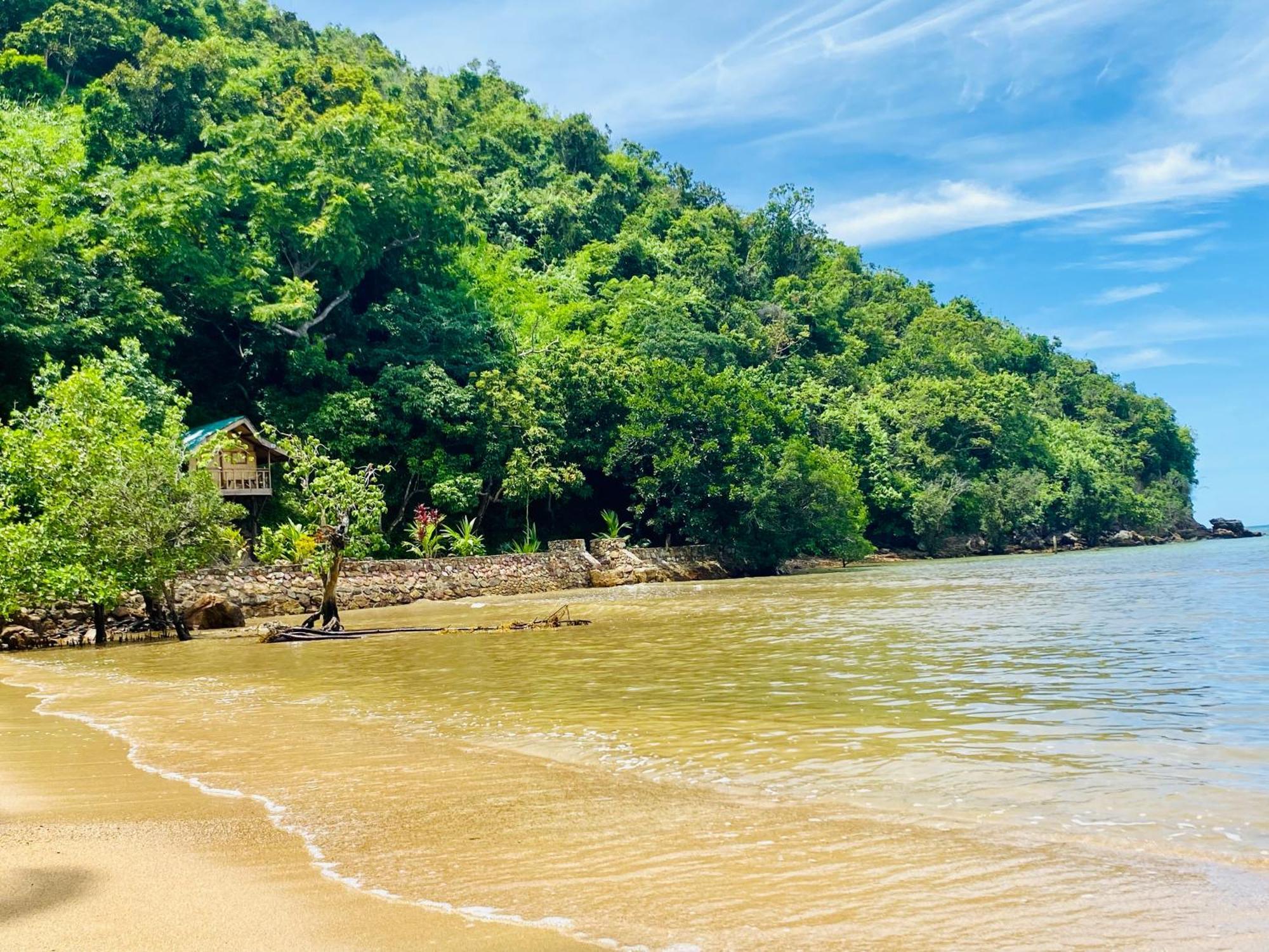 Ocamocam Beach Nature Resort New Busuanga Eksteriør billede