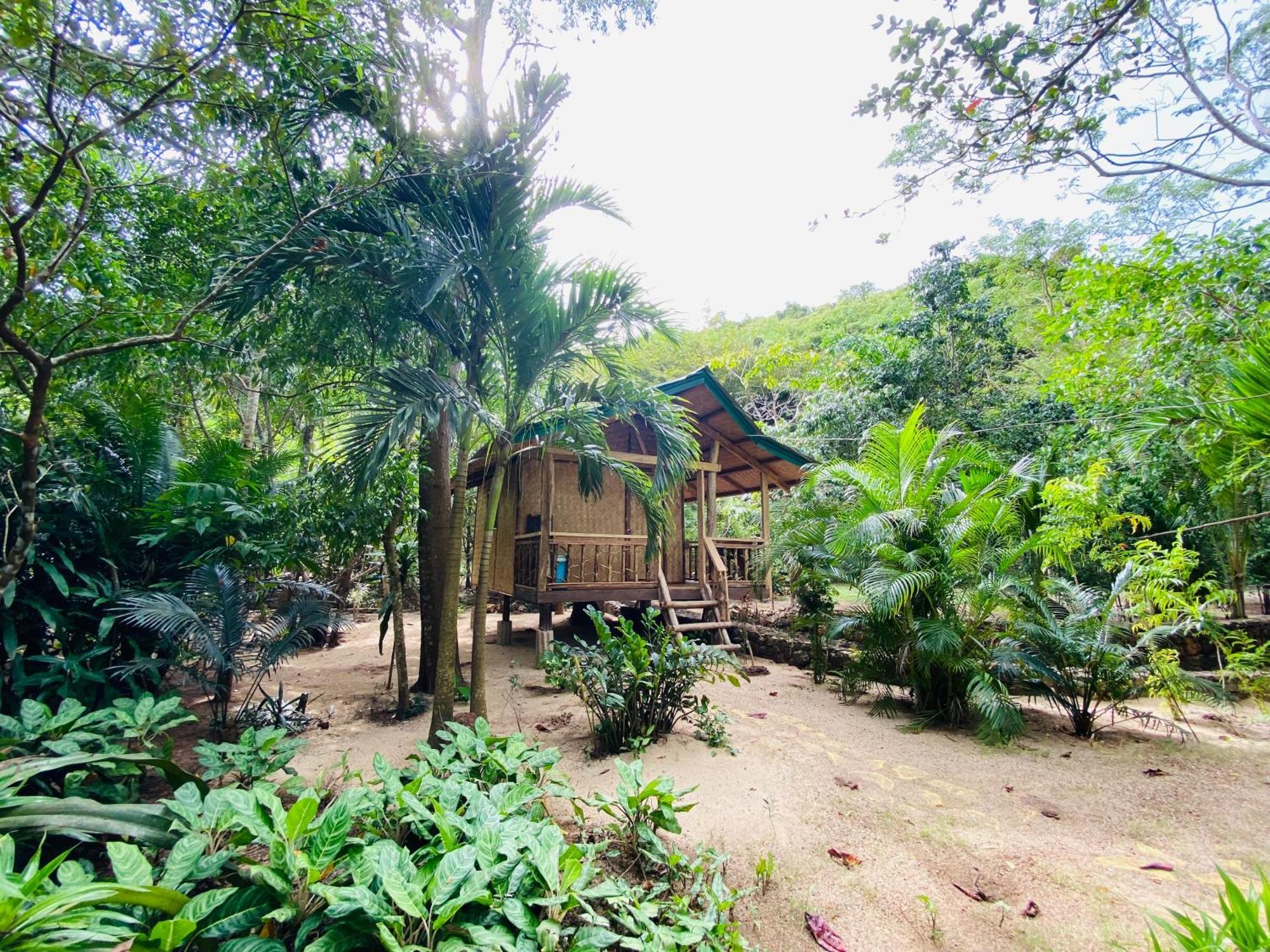 Ocamocam Beach Nature Resort New Busuanga Eksteriør billede